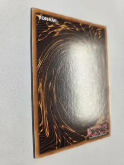 Bramble Rose Dragon DOOD-EN039 Secret Rare Yugioh 1st Edition Doom of Dimensions - Image 4