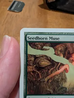 Magic: The Gathering Seedborn Muse Rare 9th Edition Creature Green Adam Rex 2005 - Image 2