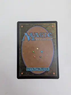 MTG - Forest 0195 (Foil) - Teenage Mutant Ninja Turtles NM/M Condition - Image 4