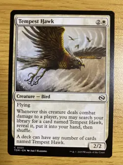 Tempest Hawk - Tarkir: Dragonstorm (TDM) Regular MTG - Image 1