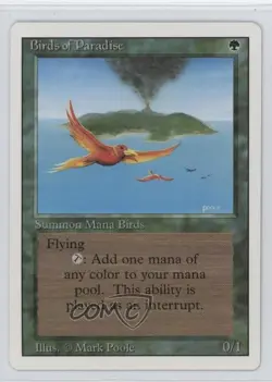 Birds of Paradise Magic: Revised Edition 1994 - Image 1