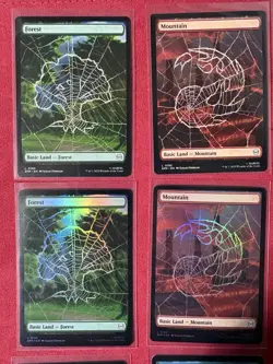 Marcy’s Package Foil Plains, Island, Swamp, Mountain, Forest And Non Foil SPM, - Image 2