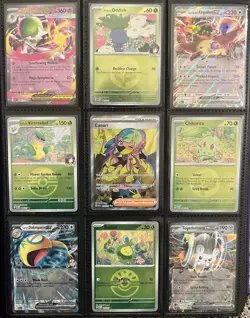 Pokemon TCG Ascended Hero’s Overflow Dupe Collection Binder (No Dupes) 225 Cards - Image 1