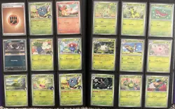 Pokemon TCG Ascended Hero’s Overflow Dupe Collection Binder (No Dupes) 225 Cards - Image 5