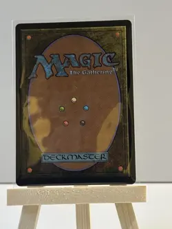 Sokka, Tenacious Tactician (Showcase) #352 (Foil) (NM) TLA Magic MTG - Image 2