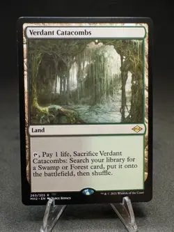 Verdant Catacombs Modern Horizons 2 Regular - Image 1