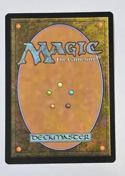 MtG Zendikar Rising Expedition MISTY RAINFOREST LP - Image 2