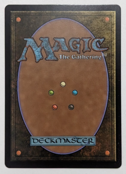 Moonshadow (386) Showcase, Lorwyn Eclipsed ECL, Magic MtG, Foil Mythic - NM! - Image 3