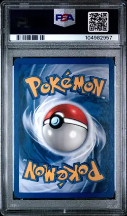 Marill Holo Promo PSA 8 2001 Pokemon Southern Islands Promo #11 - Image 2