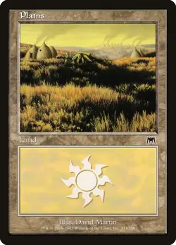 MP - Foil - Plains (333) - 333 - Onslaught - Image 1