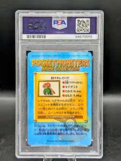 Pokemon Carddass Bandai Anime Bellossom #31 PSA 8 PRISM HOLO Vending Misty 🚀🚀 - Image 2