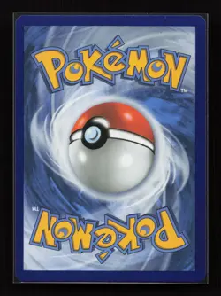 Shuckle 136/132 Illustration Rare Mega Evolution Pokemon Near Mint - Image 2