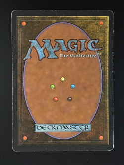 MTG - Rainbow Vale - LP/MP - Fallen Empires - Rare - EN - REG - Image 2