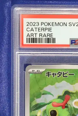 Caterpie 172 PSA 10 GEM Mint SV2a-Pokemon 151 Japanese 2023 - US Seller - Image 4