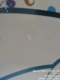 Pokemon Scarlet & Violet 151 ETB, & Acrylic Case Sealed W Small Shrink Tear - Image 3