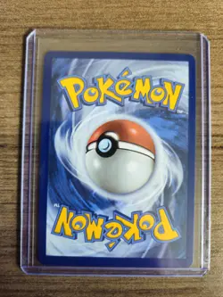 Pikachu V SWSH143 SWSH: Sword & Shield Promo Cards Holo - Image 4