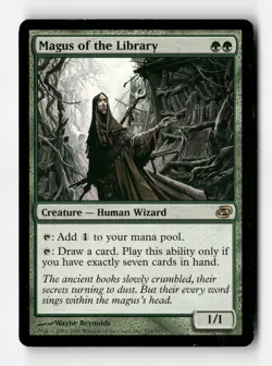 Magus of the Library - PLC - #134 (LP) - Image 1