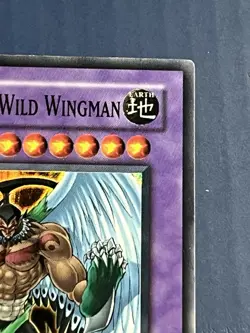 Yugioh Elemental Hero Lot Of 3 Wild Wingman Dark Neos Captain Gold LP-Damaged - Image 4