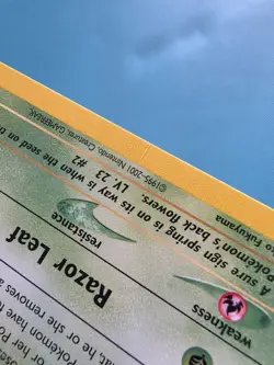 Ivysaur 5/18 Southern Island Pokemon Card LP - Image 3