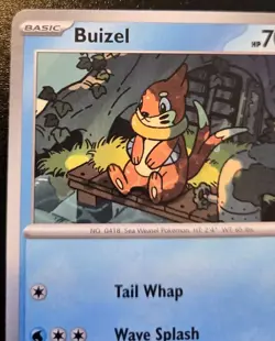 Buizel 057/182 Common Scarlet & Violet: Destined Rivals Pokemon TCG - Image 2