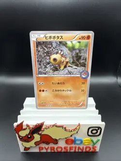 Hippopotas 159/XY-P Pokemon Center Promo RARE! HP90 Japanese Pokemon Card LP - Image 1
