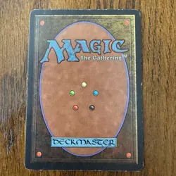 Magic: The Gathering Savannah Revised Edition Land Rare Regular Card - Image 2