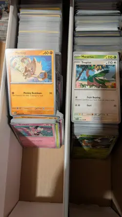 1000 Pokemon Cards Bulk Lot Commons/Uncommons No Basic Energy - Image 3