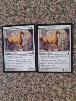 MTG 2 x Dromad Purebred - Ravnica - Image 1