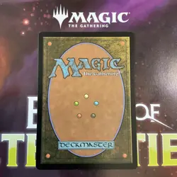 Vivien, Champion of the Wilds - War of the Spark (WAR) MTG Magic - NM Regular - Image 2