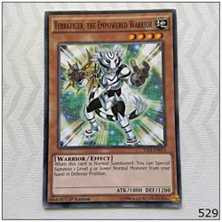 Terratiger, the Empowered Warrior - YS14-EN014 - Common 1st Edition Yugioh - Image 1
