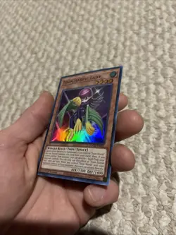 Yu-Gi-Oh Toon Harpie Lady Super Rare 1st Edition TOCH-EN002 - Image 2