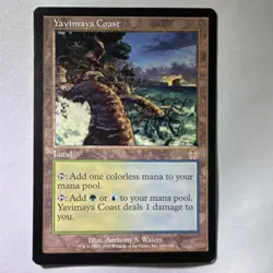 Magic: The Gathering Yavimaya Coast Land 2001 Regular English Anthony S. Waters - Image 1