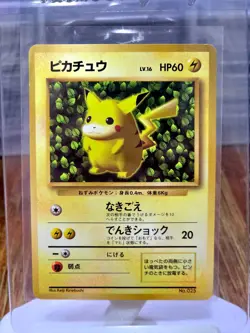 Pokemon Card Ivy Pikachu No. 025 Non Glossy Keiji Kinebuchi Promo - Image 1
