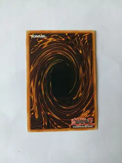 Yu-Gi-Oh Dark Paladin DMG-001 Secret Rare Limited Edition - LP - Image 3