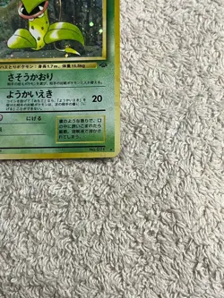 Victreebel No.071 Jungle Set 1997 Holo Japanese Pokemon Card Excellent Condition - Image 5
