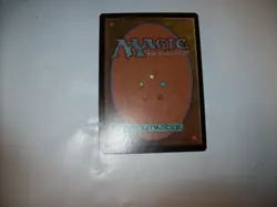 Magic The Gathering - MTG - Time Warp - LP - Tempest Free Shipping & Tracked - Image 4