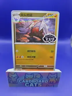 US Seller Excadrill Stamped 1406/07 Pokemon Chinese Gem Pack Vol 4 CBB4C - Image 1