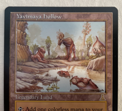 1x Yavimaya Hollow Urza's Destiny MTG Magic the Gathering NM - Image 2