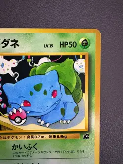 Pokemon Card Japanese 【U.S./DDP】 Old Back Bulbasaur Intro Pack Rare LP - Image 4