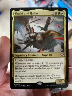 Shalai and Hallar (Near Mint) | MTG | Magic The Gathering - Image 1