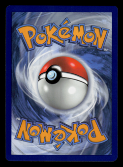 NM - Pokemon Morpeko SWSH116 Chilling Reign Blister Comsmos Holo Promo - Image 2