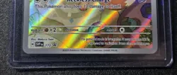 EEVEE 173 PROMO SCARLET & VIOLET POKEMON NM - Image 5