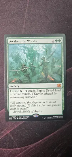 Awaken the Woods The Brothers' War Regular - Image 1