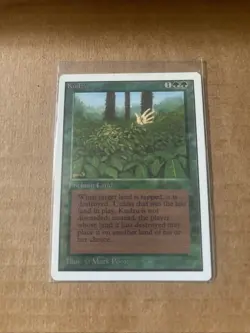 Kudzu Unlimited Edition Regular - Image 1
