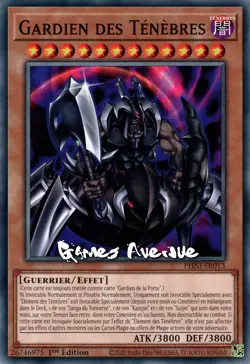 Yu-Gi-Oh ! Gardien des Tenebres PHNI-FR013 VF/COMMUNE - Image 1