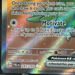 Squawkabilly ex 247/193 Paldea Evolved Ultra Rare Full Art Holo Pokemon TCG NM/M - Image 3
