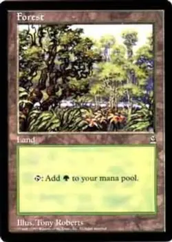 Damaged, English MTG Regular Forest - Oversized Magic Oversized Promos (6x9) Mag - Image 1