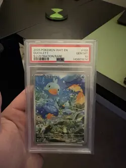 Pokemon TCG Ducklett Illustration Rare Card 109/086 Sv: White Flare PSA 10 - Image 1