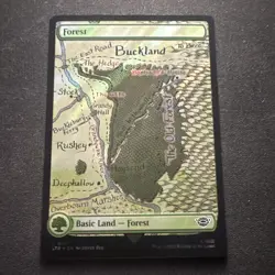 Forest (0280) Universes Beyond: the Lord of the Rings: Tales of Middle-Earth... - Image 1