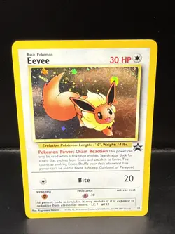 Pokemon - Eevee 11/53 - Wotc - Black Star Promo Holo BK - Image 2